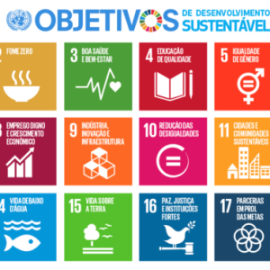 3ª fase do Genfest contribuirá com propostas para a Agenda 2030 da ONU e ‘Summit Of The Future’